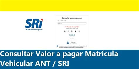 Consultar Valor A Pagar Matrícula Vehicular Ant Sri 2025 Ecu11