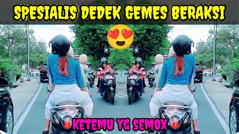 Spesialis Dedek Gemes Beraksi Youtube