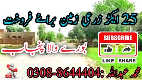 Agriculture Land For Sale 25 Acer Land For Sale In Burewala Punjab