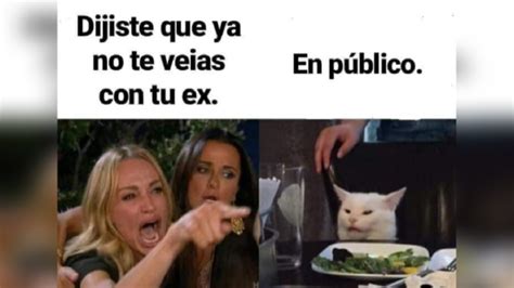 Viral Meme del gato en la mesa y una mujer gritándole FOTOS El