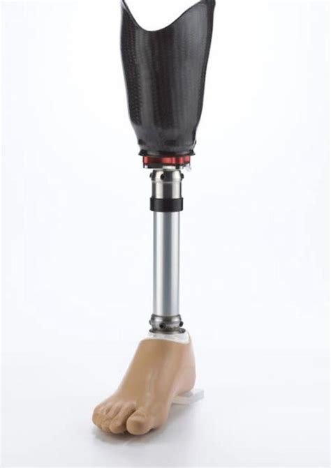 Lower Limb Modular Below Knee Prosthesis Functional Prosthetic At Rs