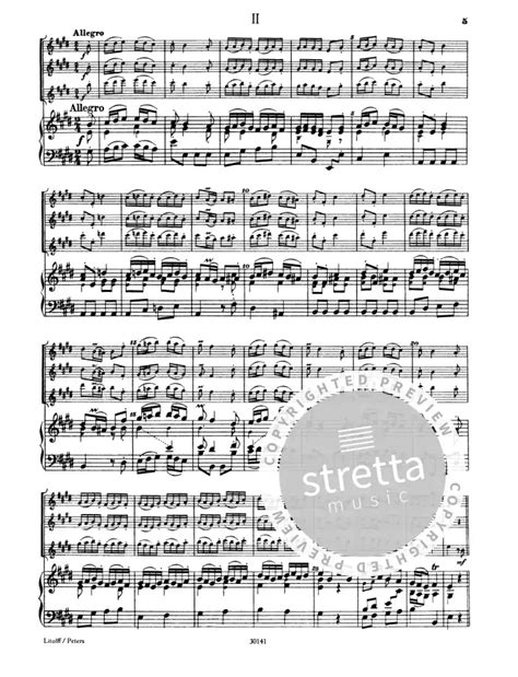 Konzert F R Fl Te Oboe D Amore Viola D Amore Streicher Und Cembalo E