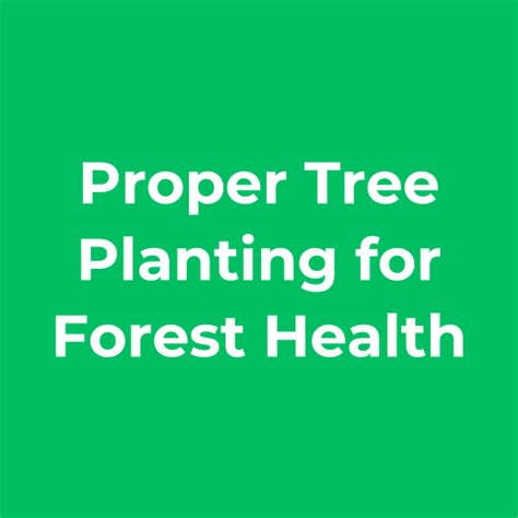 Forestry Proper Tree Planting For Forest Health In Depth Guide