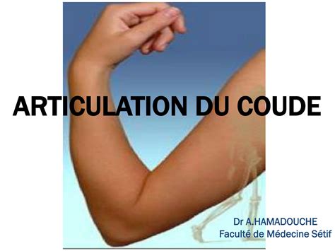 Solution Articulation Du Coude Arthrologie Anatomie Humaine Studypool