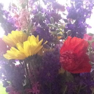 Farmers market flowers | Farmers market flowers, Plants, Flowers