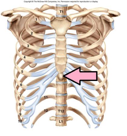 Pain and numbness at bottom of rib cage | BabyCenter