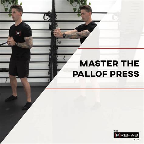 Master The Pallof Press Exercises - The Prehab Guys