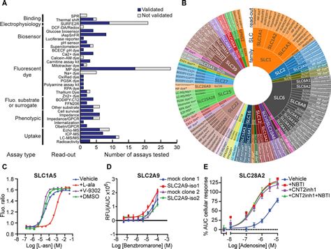 frontiers advancing drug discovery  assay development