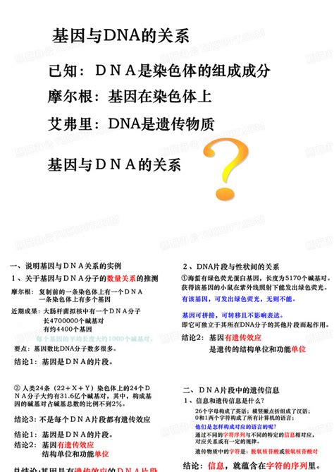 基因与dna的关系ppt模板下载 编号lknpypom 熊猫办公