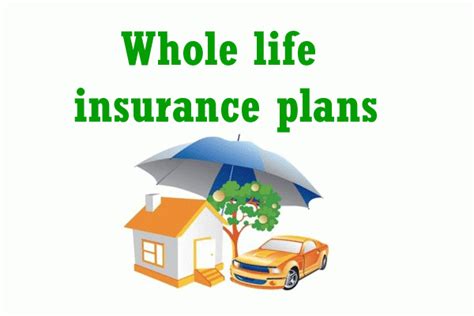 Whole Life Insurance Plans In India