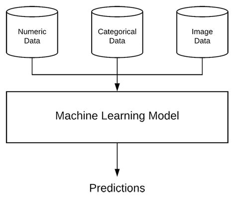 Categorical Data Vs Numerical Data