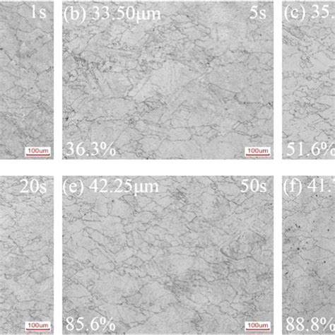 Microstructure Evolution Of The Specimens After Deformation At 950 °c