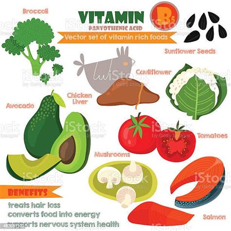 Vitamins And Minerals Foods Illustrator Set 9vector Set Of Vita Stock