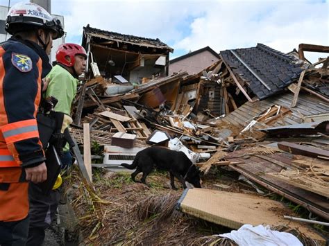 Terremoto En Japón 2024 Elsa Perra Socorrista