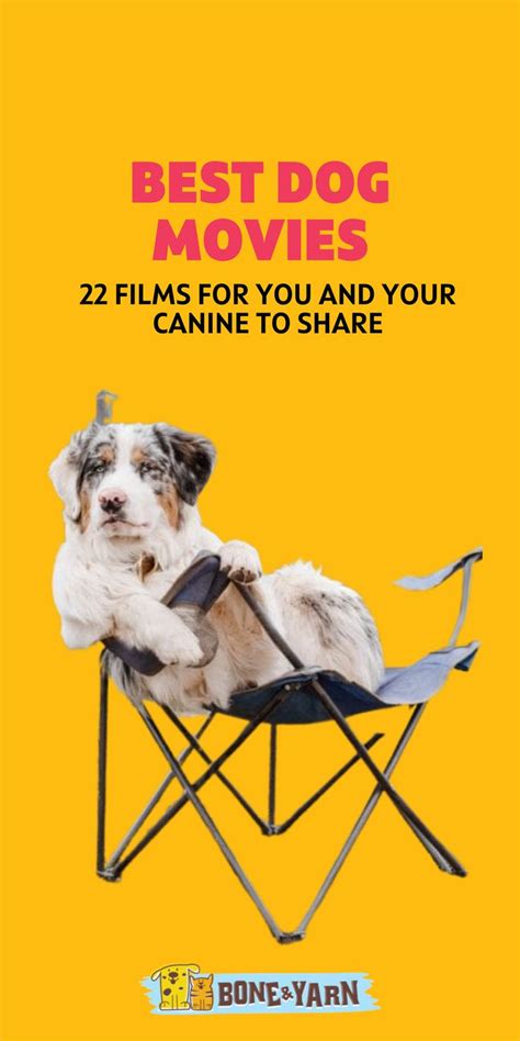 Best Dog Movies 22 Films For You And Your Canine To Share In 2024