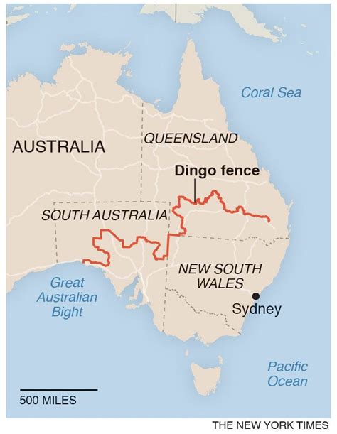 The Dingo Fence | Dingo fence, Dingo, New south