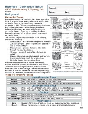 Epithelial Tissue Worksheet Anatomy