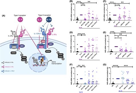 Expression Of Histamine Receptors H2R And H4R Are Predominantly