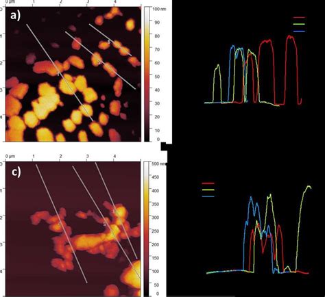 Images De Microscopie Force Atomique Afm Du Npt Montrant A Une