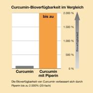 Curcuma Piperin Forte Von Biotikon By Dr Med Michalzik Kapseln