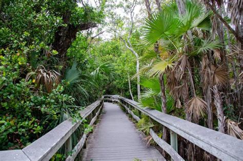 Everglades National Park hiking trails - Right Kind Of Lost