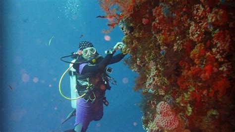 taman laut selat pantar alor salah satu taman laut terindah citizen