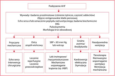 Postępowanie w ostrych powikłaniach zawału serca Parol Choroby