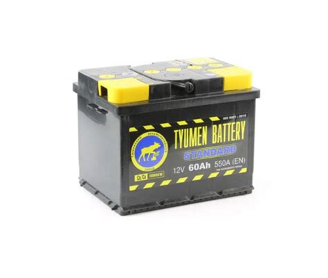 Tyumen Battery Standard L