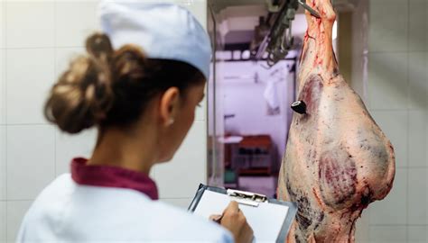 Acondicionamiento De Carne Claves Para Su Venta Ccfprosario Ar