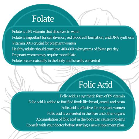 Folate Vs Folic Acid Prenatal Vitamins Which Is Better Stork Helpers