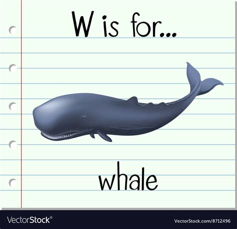 Flashcard Letter W Is For Whale Royalty Free Vector Image