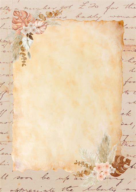 Brown And Cream Aesthetic Paper Page Border Classical Flourish Brown