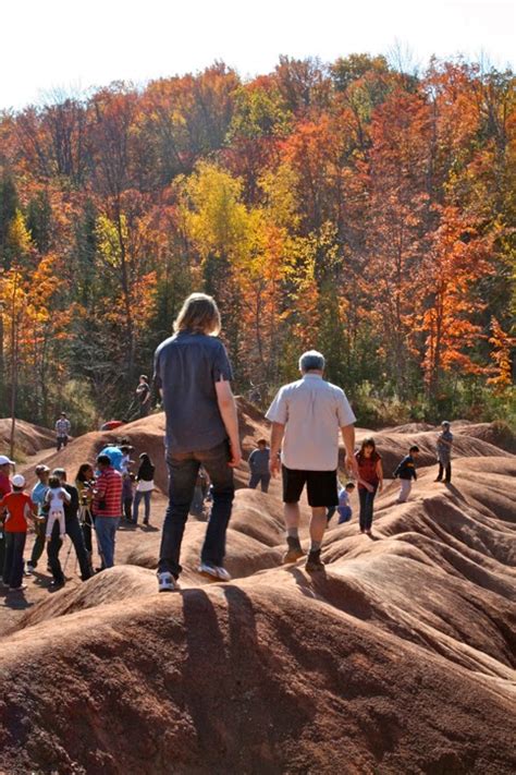 Toronto Fun Places: Fall colours at Cheltenham Badlands