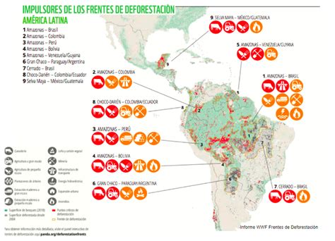 Deforestacion Causas