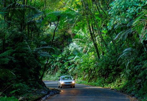 El Yunque Pronunciation Entire Collection Yakimankagbu Ru