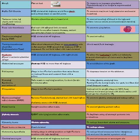 Positioning Patients Cheat Sheet Printable Pdf Immediately Etsy