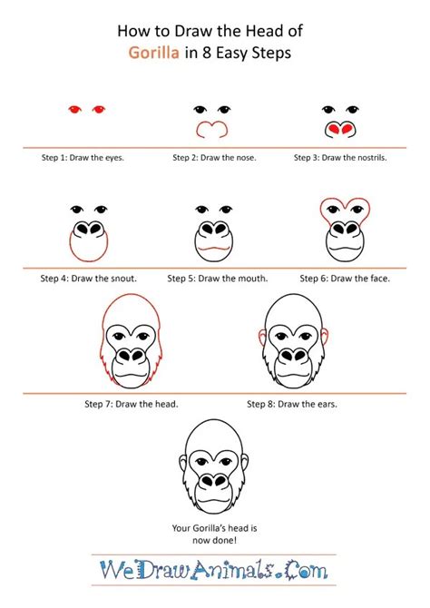 How To Draw A Realistic Gorilla Face Moore Oblie