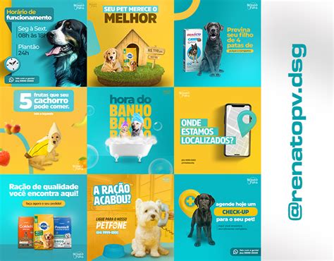 PET SHOP SOCIAL MEDIA On Behance