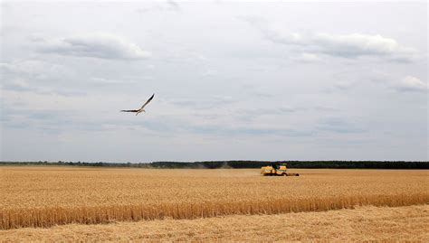 The Stealth Take Over Of Ukrainian Agricultural Land The Oakland