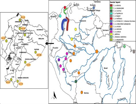 Map With The Geographical Origins And Sample Sizes Of Cebus Albifrons