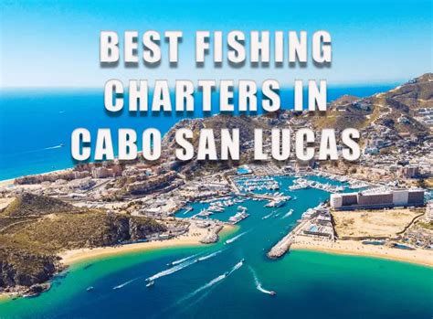 Marlin Fishing In Cabo San Lucas Complete Guide Tilt Fishing