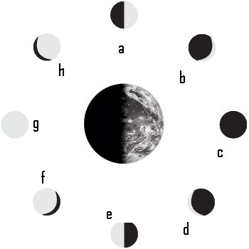 Blank Moon Phases - ClipArt Best