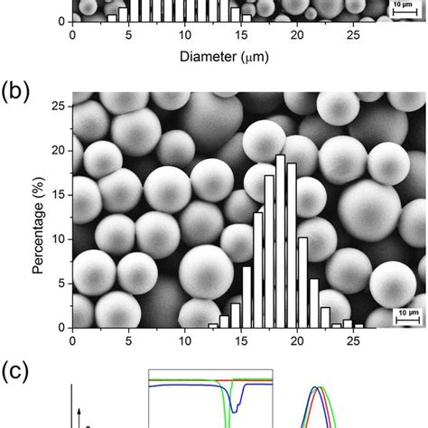 Sem Micrographs Of A µc6 S And B µc6 L Samples With The Download Scientific Diagram