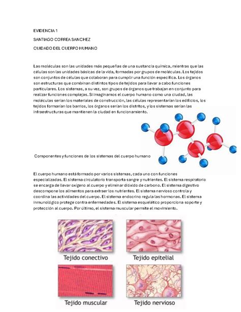 Evidencia 1cdh EVIDENCIA 1 SANTIAGO CORREA SANCHEZ CUIDADO DEL CUERPO