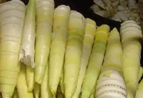 Canned Vegetable Bamboo Shoot Whole Canned Bamboo Shoot And Canned