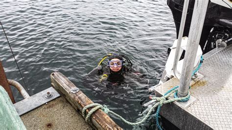 The Path to Becoming an ROV Pilot | Scuba Diving