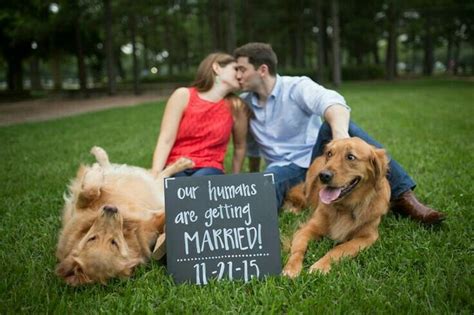 Como Incluir A Tus Mascotas En El Matrimonio