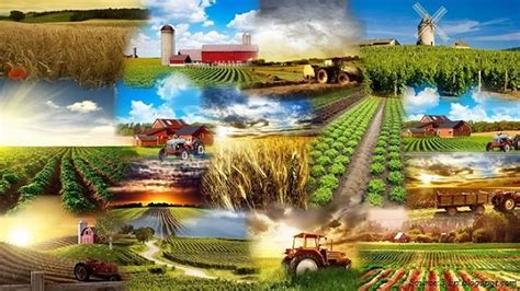 हद Modern Agriculture and its impact on the environment