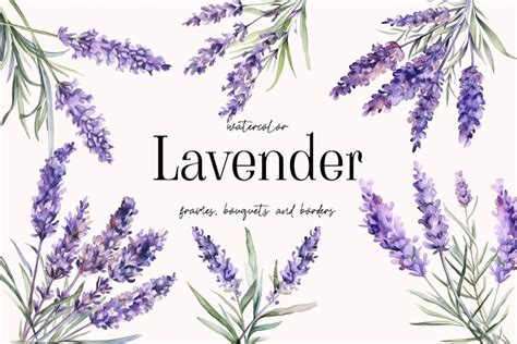 Watercolor Lavender Floral Clipart Lavender