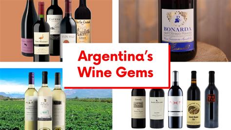 Unveiling Argentina S Best Top 5 Wines You Must Try Argentinean